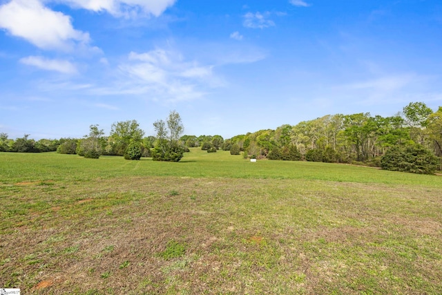 868 Old Hundred Rd, Pelzer, SC 29669 - view of grassy yard featuring a view of trees and a rural view