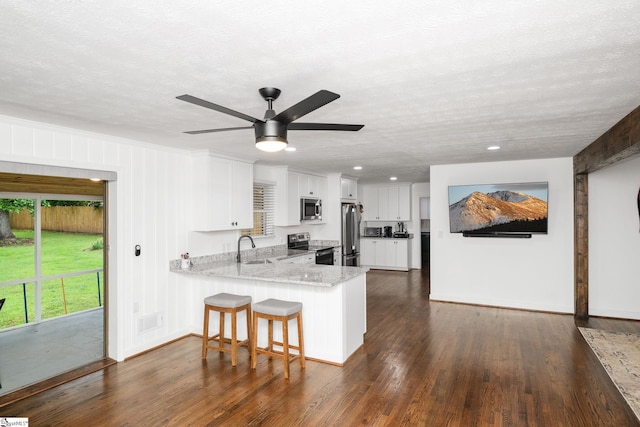 502 Hunts Bridge Rd, Greenville, SC 29617 - kitchen featuring appliances with stainless steel finishes, a peninsula, dark wood-type flooring, white cabinetry, and recessed lighting