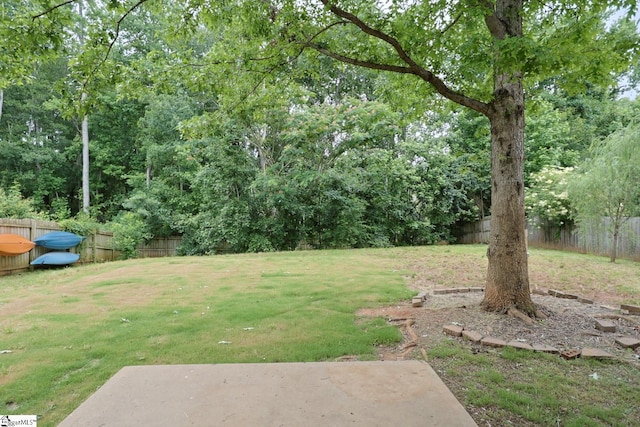 208 Catterick Way, Fountain Inn, SC 29644 - view of yard with a patio