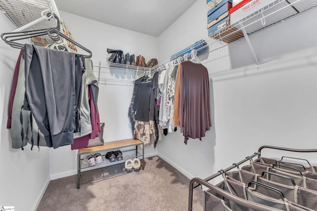 7096 Luna Mae Ct, Boiling Springs, SC 29316 - walk in closet featuring carpet