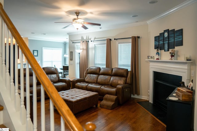 140 Belgian Blue Way, Fountain Inn, SC 29644 - living area with ceiling fan, crown molding, dark wood finished floors, stairs, and plenty of natural light