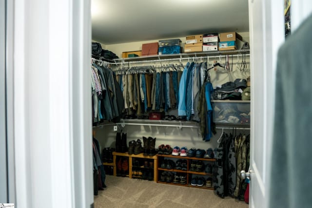 140 Belgian Blue Way, Fountain Inn, SC 29644 - spacious closet featuring carpet flooring