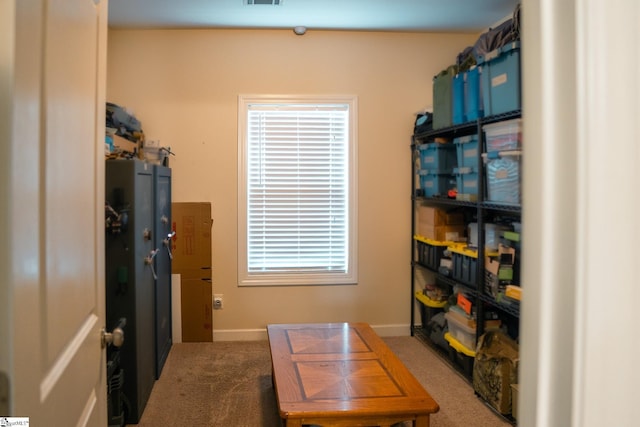 140 Belgian Blue Way, Fountain Inn, SC 29644 - view of storage area