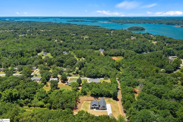 100 Grandview Dr, Anderson, SC 29625 - aerial view of a forest and a nearby body of water