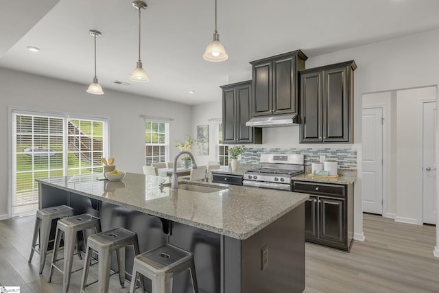 202 Walla Walla Ct, Greenville, SC 29607 - kitchen with stainless steel gas stove, a sink, under cabinet range hood, light wood-type flooring, and light stone counters