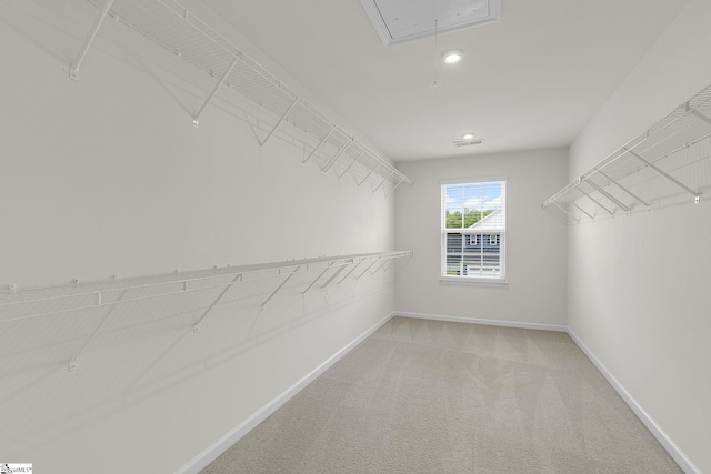 202 Walla Walla Ct, Greenville, SC 29607 - walk in closet with attic access and carpet floors