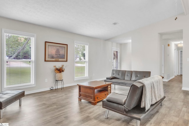 113 Sedgefield Ct, Anderson, SC 29621 - living room with plenty of natural light, light wood-style floors, lofted ceiling, and baseboards