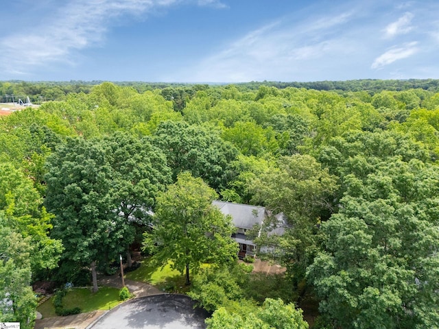 304 Oak Brook Way, Taylors, SC 29687 - drone / aerial view of a forest