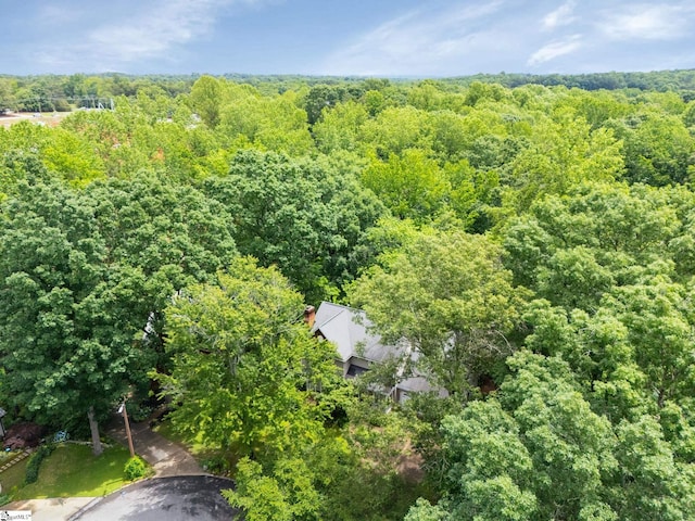 304 Oak Brook Way, Taylors, SC 29687 - bird's eye view of a forest