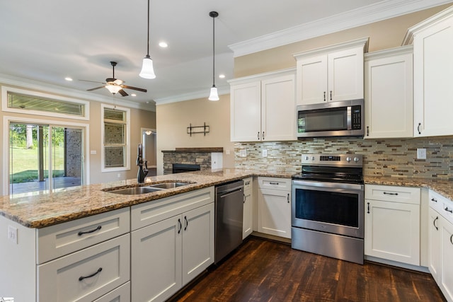 121 Floyd Meadow Dr, Inman, SC 29349 - kitchen with stainless steel appliances, a sink, a peninsula, ornamental molding, and ceiling fan