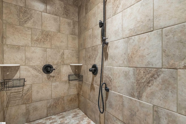 121 Floyd Meadow Dr, Inman, SC 29349 - bathroom view of a tile shower