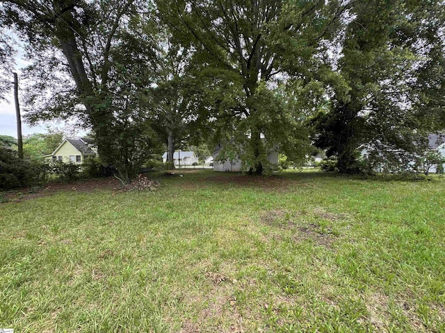 12 Stevens St, Laurens, SC 29360 - view of yard