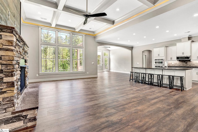 1061 Hidden Glory Dr, Landrum, SC 29356 - unfurnished living room with ceiling fan, arched walkways, dark wood-style floors, ornamental molding, and baseboards