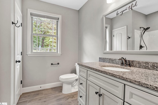 1061 Hidden Glory Dr, Landrum, SC 29356 - full bathroom with vanity, baseboards, wood finished floors, toilet, and a shower