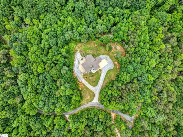 1061 Hidden Glory Dr, Landrum, SC 29356 - view of property location