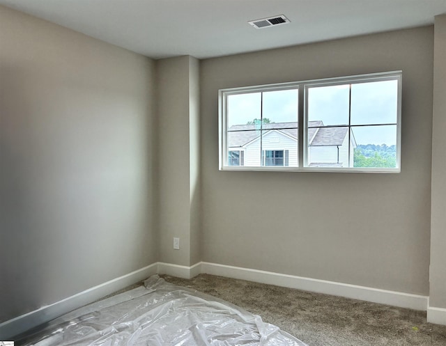 213 Fenner Pl, Greenville, SC 29607 - spare room with plenty of natural light, baseboards, and light colored carpet