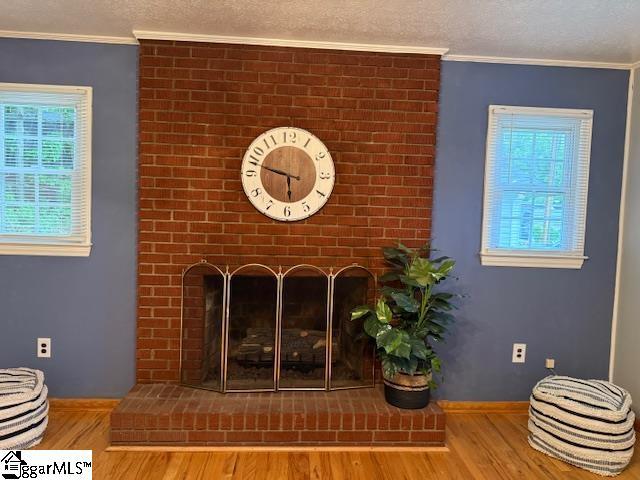 3444 Geer Hwy, Marietta, SC 29661 - detailed view of wood finished floors, ornamental molding, baseboards, and a textured ceiling
