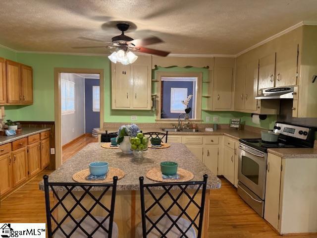 3444 Geer Hwy, Marietta, SC 29661 - kitchen featuring stainless steel range with electric stovetop, exhaust hood, light wood-type flooring, a sink, and ornamental molding