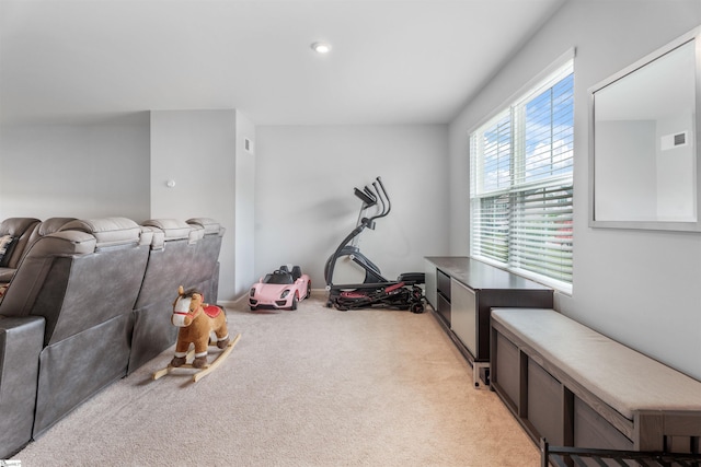 841 Speakeasy Ln, Inman, SC 29349 - workout room featuring carpet flooring