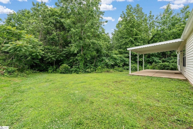 3 Alewine Ct, Taylors, SC 29687 - view of grassy yard featuring a patio