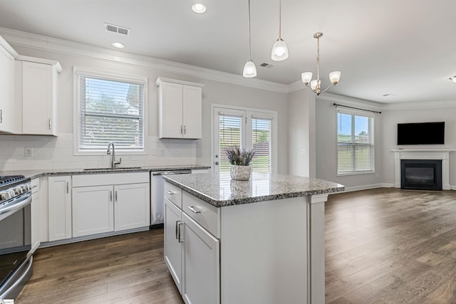 122 Rivermill Pl, Piedmont, SC 29673 - kitchen with a sink, stainless steel appliances, open floor plan, ornamental molding, and dark wood-style floors