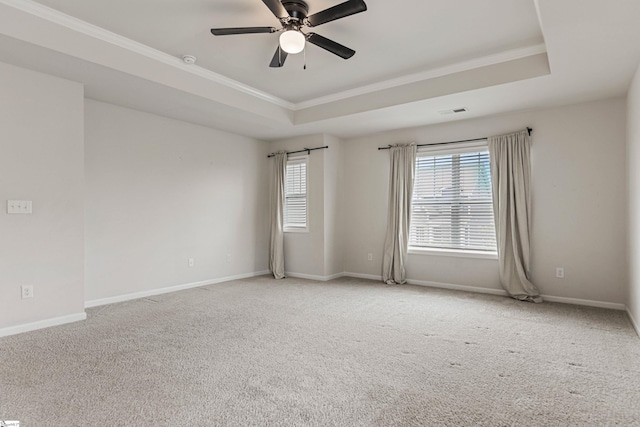122 Rivermill Pl, Piedmont, SC 29673 - empty room featuring ornamental molding, a tray ceiling, carpet, healthy amount of natural light, and baseboards