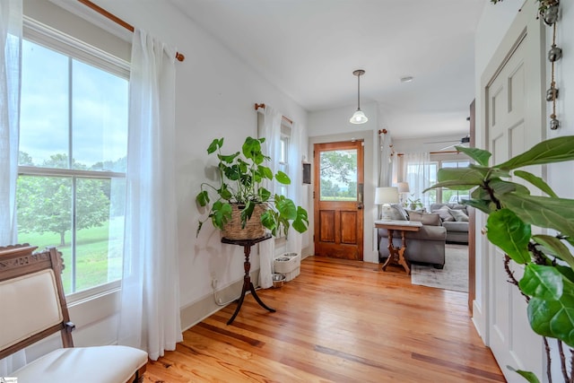 251 W Mcelhaney Rd, Taylors, SC 29687 - foyer featuring plenty of natural light and light wood-type flooring