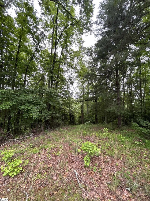 499 Whitt Rd, Piedmont, SC 29673