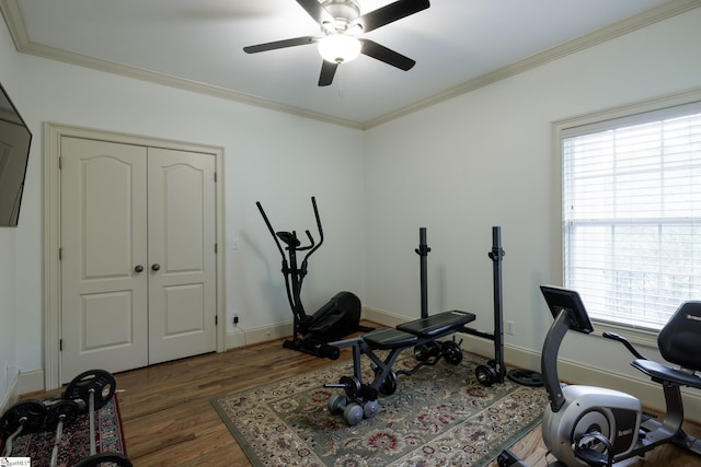 116 Legends Way, Simpsonville, SC 29681 - workout area featuring wood finished floors, a ceiling fan, crown molding, and baseboards
