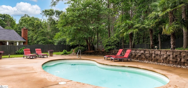 116 Legends Way, Simpsonville, SC 29681 - view of swimming pool with a patio area and a fenced backyard