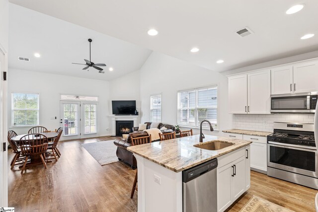 113 Noble St, Greer, SC 29651 - kitchen featuring appliances with stainless steel finishes, a sink, ceiling fan, an island with sink, and a lit fireplace