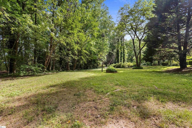 21 Kensington Rd, Greenville, SC 29617 - view of grassy yard with a forest view