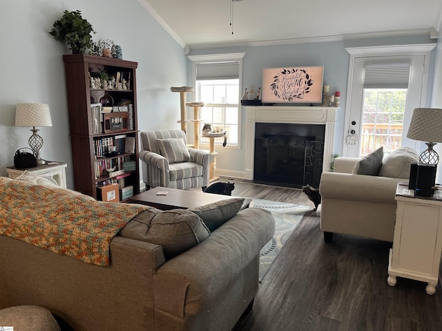 383 Amelia Springs Ln, Moore, SC 29369 - living room with ornamental molding, wood finished floors, a fireplace, and baseboards