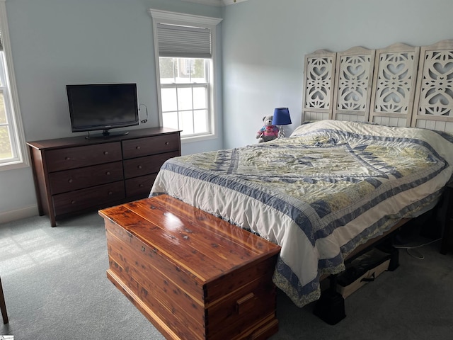 383 Amelia Springs Ln, Moore, SC 29369 - carpeted bedroom with multiple windows