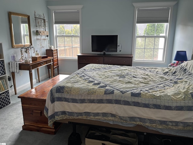 383 Amelia Springs Ln, Moore, SC 29369 - carpeted bedroom with multiple windows and baseboards
