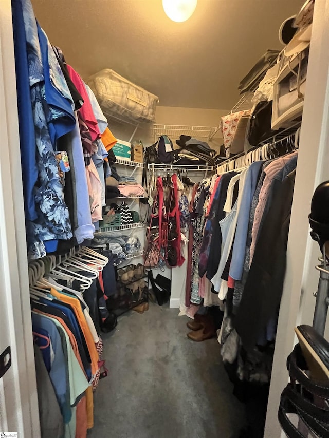 383 Amelia Springs Ln, Moore, SC 29369 - view of walk in closet