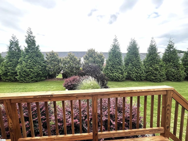 383 Amelia Springs Ln, Moore, SC 29369 - deck with a lawn