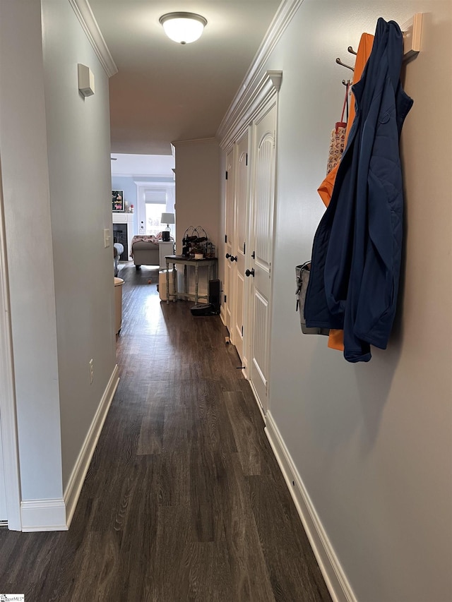 383 Amelia Springs Ln, Moore, SC 29369 - hall with wood finished floors, ornamental molding, and baseboards