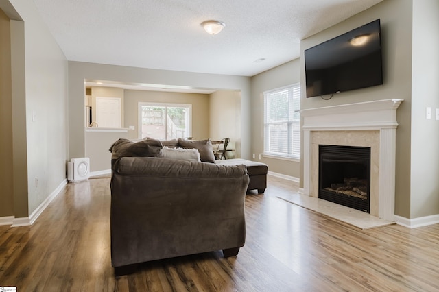 48 Border Ave, Simpsonville, SC 29680 - living area featuring wood finished floors, a high end fireplace, and baseboards