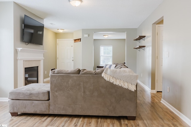 48 Border Ave, Simpsonville, SC 29680 - living room featuring wood finished floors, baseboards, and a fireplace