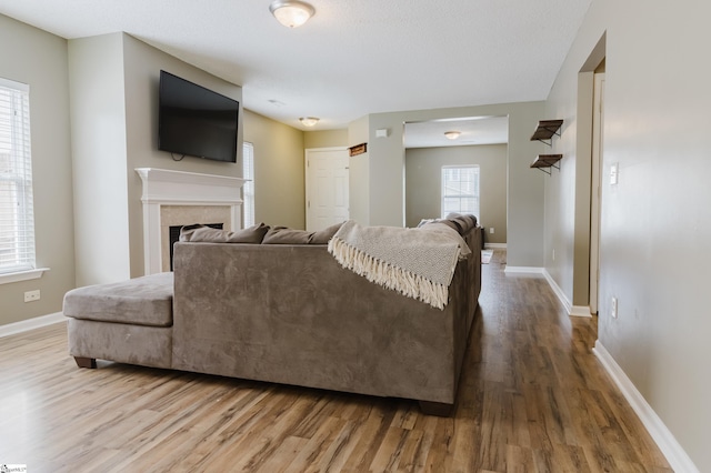 48 Border Ave, Simpsonville, SC 29680 - living room with wood finished floors, a fireplace, and baseboards