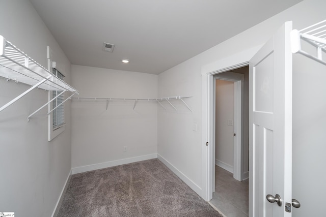 108 Pewter Cir, Simpsonville, SC 29680 - spacious closet featuring carpet floors