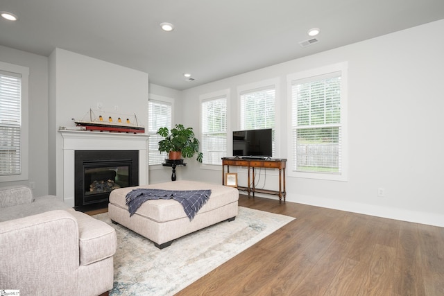 800 Redmill Ln, Duncan, SC 29334 - living area with a fireplace with flush hearth, wood finished floors, recessed lighting, and baseboards