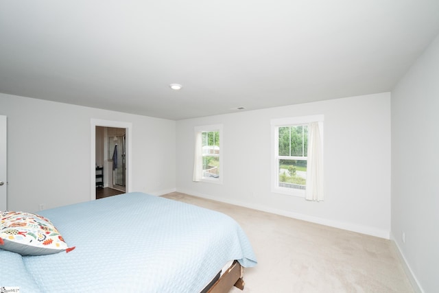 800 Redmill Ln, Duncan, SC 29334 - bedroom with baseboards and light carpet