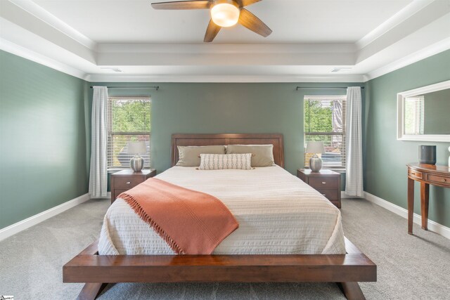 345 Cypress Hollow Trl, Piedmont, SC 29673 - bedroom with a raised ceiling, ornamental molding, light carpet, and multiple windows