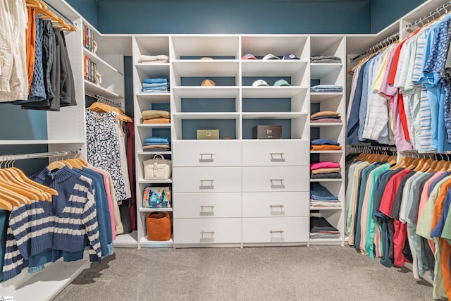 345 Cypress Hollow Trl, Piedmont, SC 29673 - walk in closet with carpet flooring