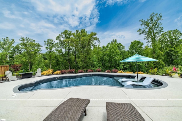 345 Cypress Hollow Trl, Piedmont, SC 29673 - swimming pool with a patio