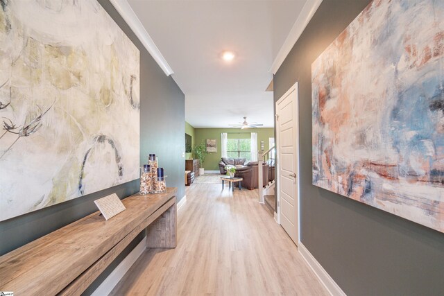 345 Cypress Hollow Trl, Piedmont, SC 29673 - hallway with wood finished floors and baseboards