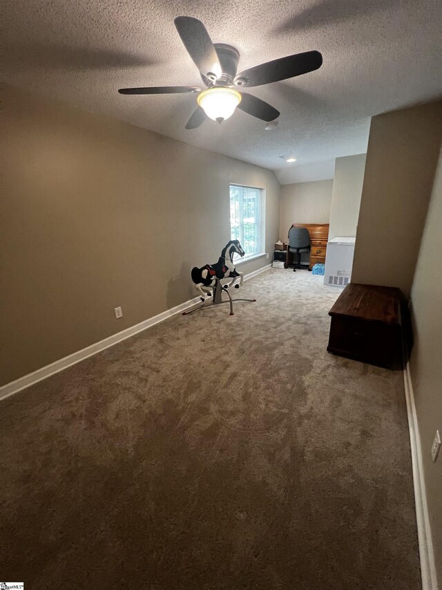 9 Lee St, Liberty, SC 29657 - exercise room with a textured ceiling, carpet flooring, baseboards, and ceiling fan