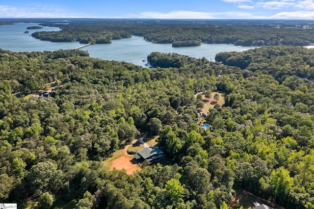 416 Shirley Cir, Pendleton, SC 29625 - aerial view of a forest and a nearby body of water